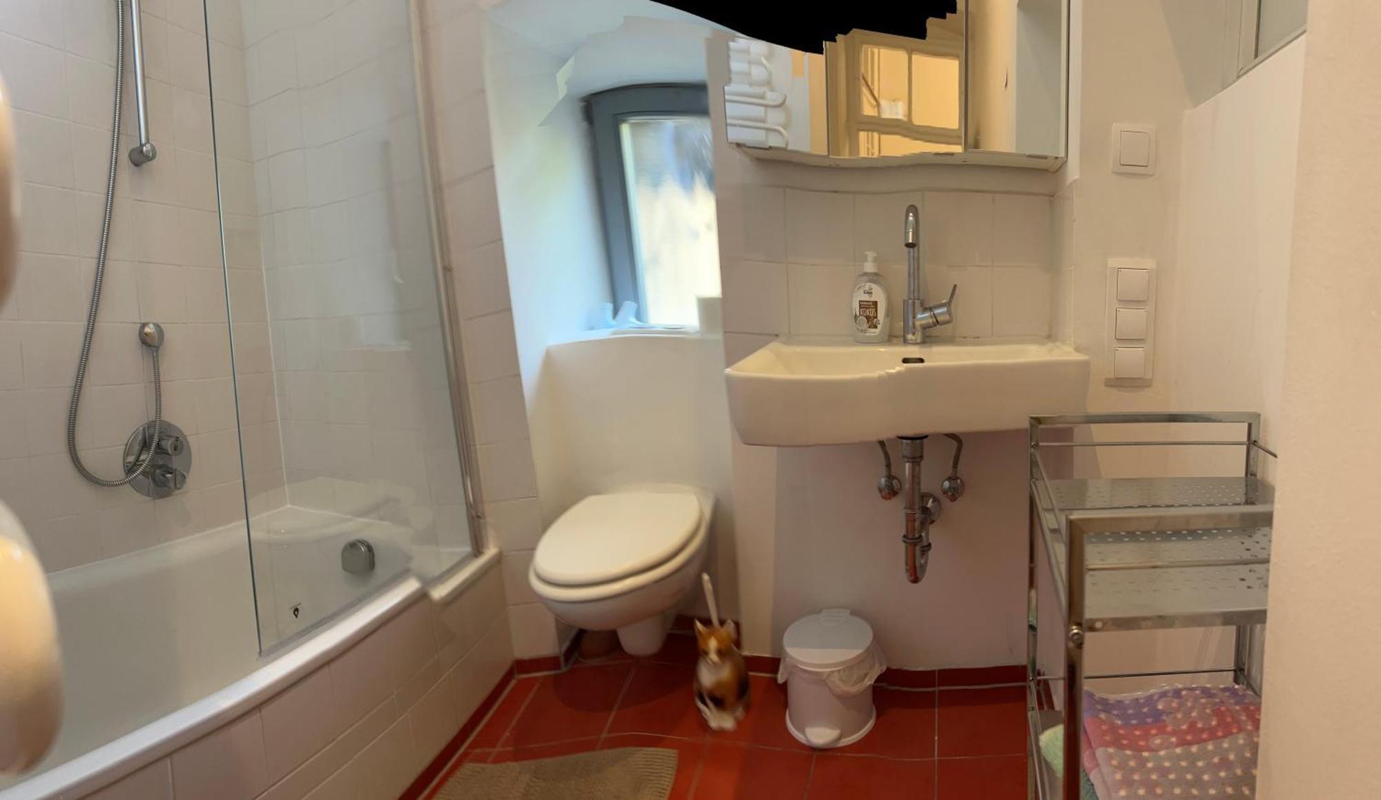 Urban Apartement, Internet, Veranda, Zentrum Graz Dış mekan fotoğraf